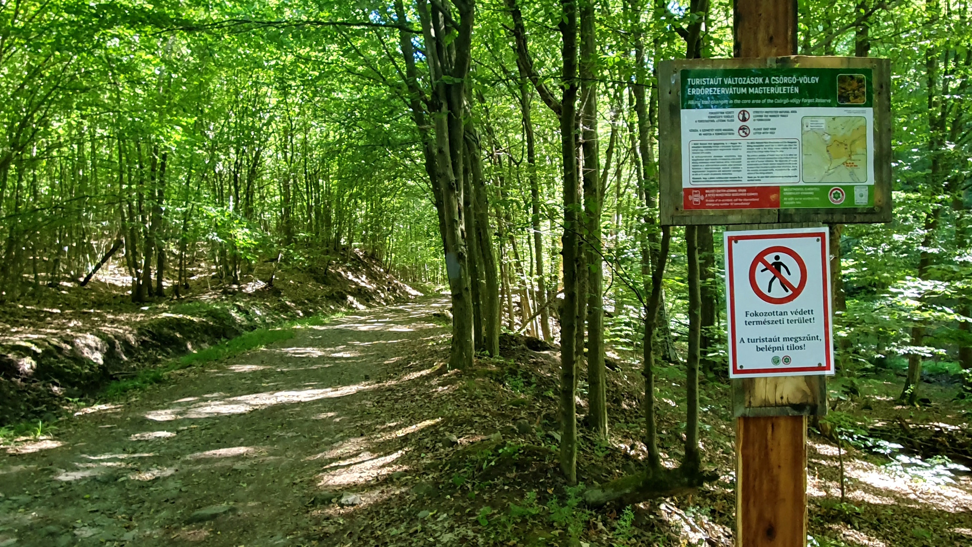 Figyelmeztető tábla a változásokról_MTSZjpg_1920.jpg